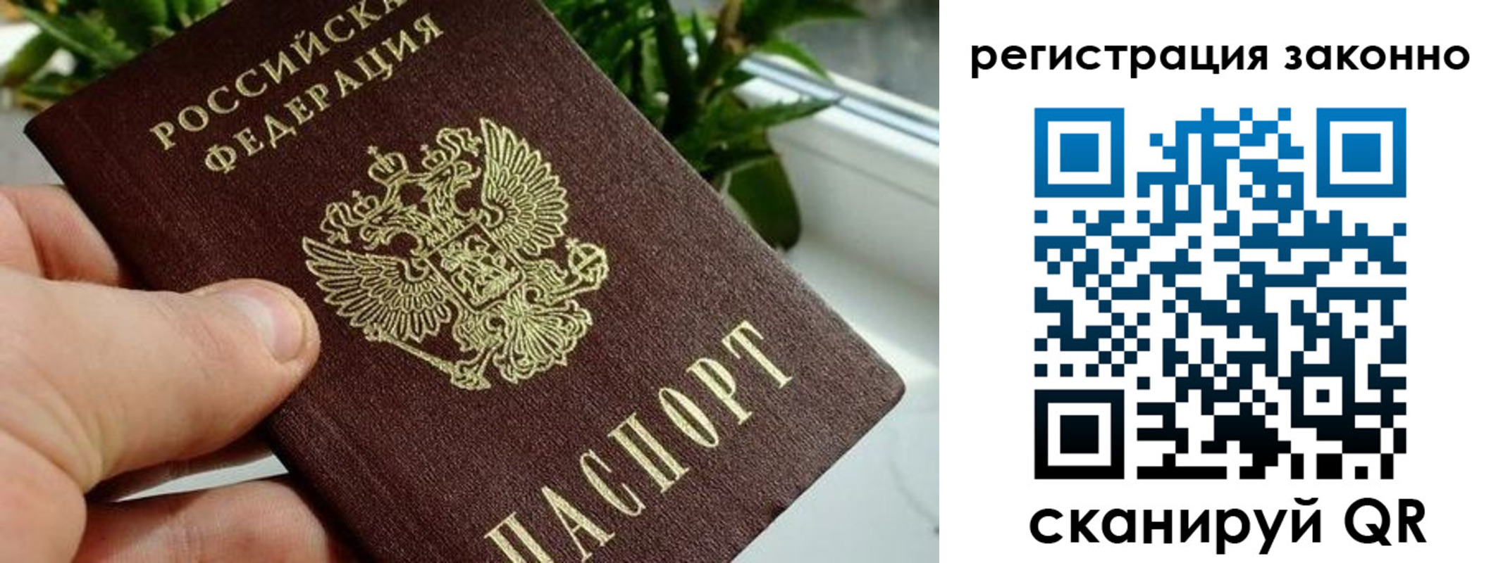 прописка гарантия в Кинеле